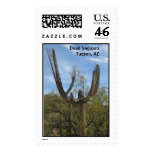 Dead Saguaro postage