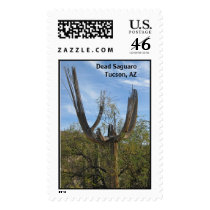 Dead Saguaro postage by steev2300 Dead Saguaro postage
