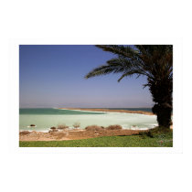 Dead Sea posters by eliorart Dead Sea posters