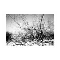 Dead Sea posters by eliorart Dead Sea posters