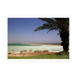 israel, judaism, jewish, jew, desert, dead, sea,
