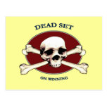 Dead Set Pirate Skull Post Card