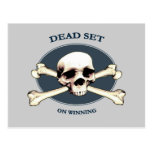 Dead Set Pirate Skull Postcards