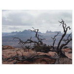 Dead tree, Arches National Park, Utah, U.S.A. Custom Flyer