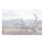 Dead tree, Arches National Park, Utah, U.S.A. Customized Stationery