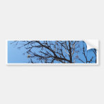 dead tree bumper sticker