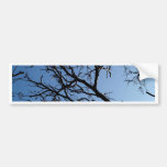 dead tree bumper sticker