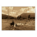 Dead Tree cards