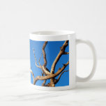 dead tree coffee mug