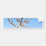 dead tree  in farm bumper sticker