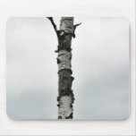 Dead Tree Mousepads