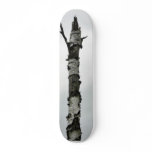 Dead Tree Skate Boards