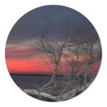 Dead Tree Sunset stickers by CyrScenes Dead Tree Sunset stickers