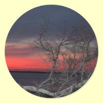 Dead Tree Sunset stickers