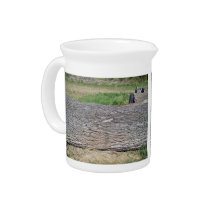 Dead Tree Trunk lying on ground Beverage Pitchers