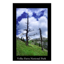 Dead Trees posters by kordoz Dead Trees posters