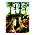 Dead Wood Poster posters by epochexposure Dead Wood Poster posters