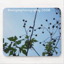 deadflowers, reaganphotography 2008 mousepads by reaganphotography deadflowers, reaganphotography 2008 mousepads