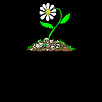 Deadly Daisy t-shirts
