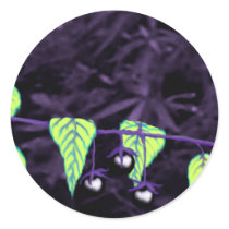 Deadly Nightshade Round Sticker