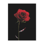 Deadly Rose postcards