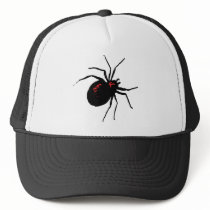 Deadly Spider Hats