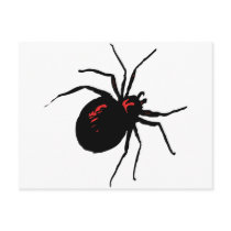 Deadly Spider Post Card