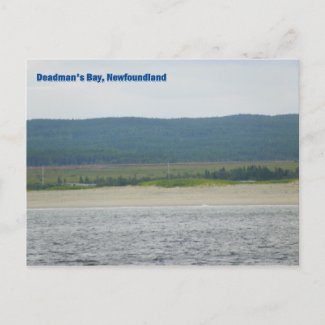 Deadman's Bay, Newfoundland postcard