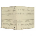 Deaf and Mutism, Statistical US Lithograph binders