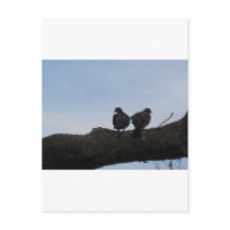 Deaf ones falls in love post card