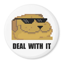 Deal With It Magnets