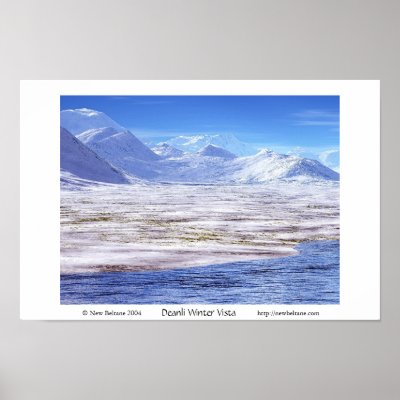 Deanli Winter Vista Print