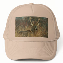 Dear / Buck / White-tailed Deer hats