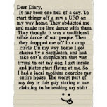 Dear Diary T Tee Shirts