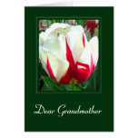 Dear Grandmother - Card