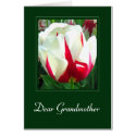 Dear Grandmother - Card by cycreation Dear Grandmother - Card