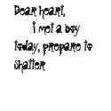 Dear heart,      i met a boy today, prepare to ... t-shirts