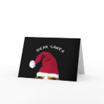 Dear Sant, I can explain...... Greeting Cards