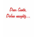 Dear Santa,Define naughty... t-shirts