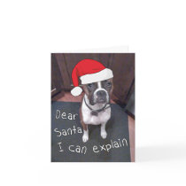 Dear Santa I Can Explain Card