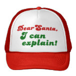 Dear Santa, I can explain Christmas Mesh Hats