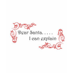 Dear Santa I can explain shirt