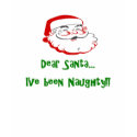 Dear Santa I've Been NAUGHTY t-shirts
