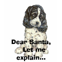 Dear Santa,    Let me explain... t-shirts