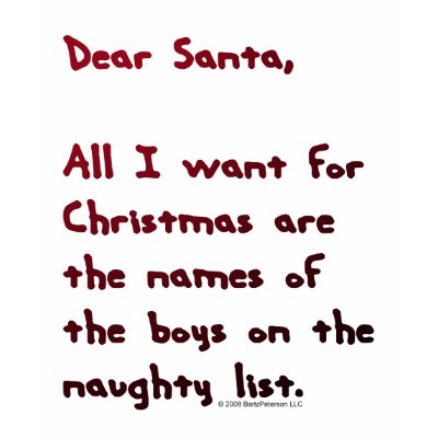 Dear Santa Naughty Boys List Hoodie