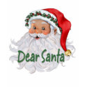 Dear Santa t-shirts