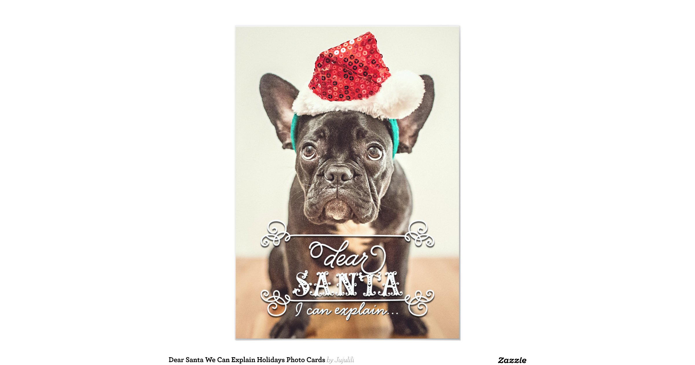 Dear santa we can explain holidays photo cards