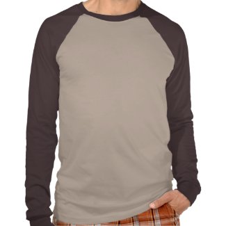 Dearborn IASH Long Sleeve Raglan shirt