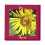 Dearest, Friend-Sunflower w/Bee Magnet