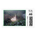 dears in the light postage
